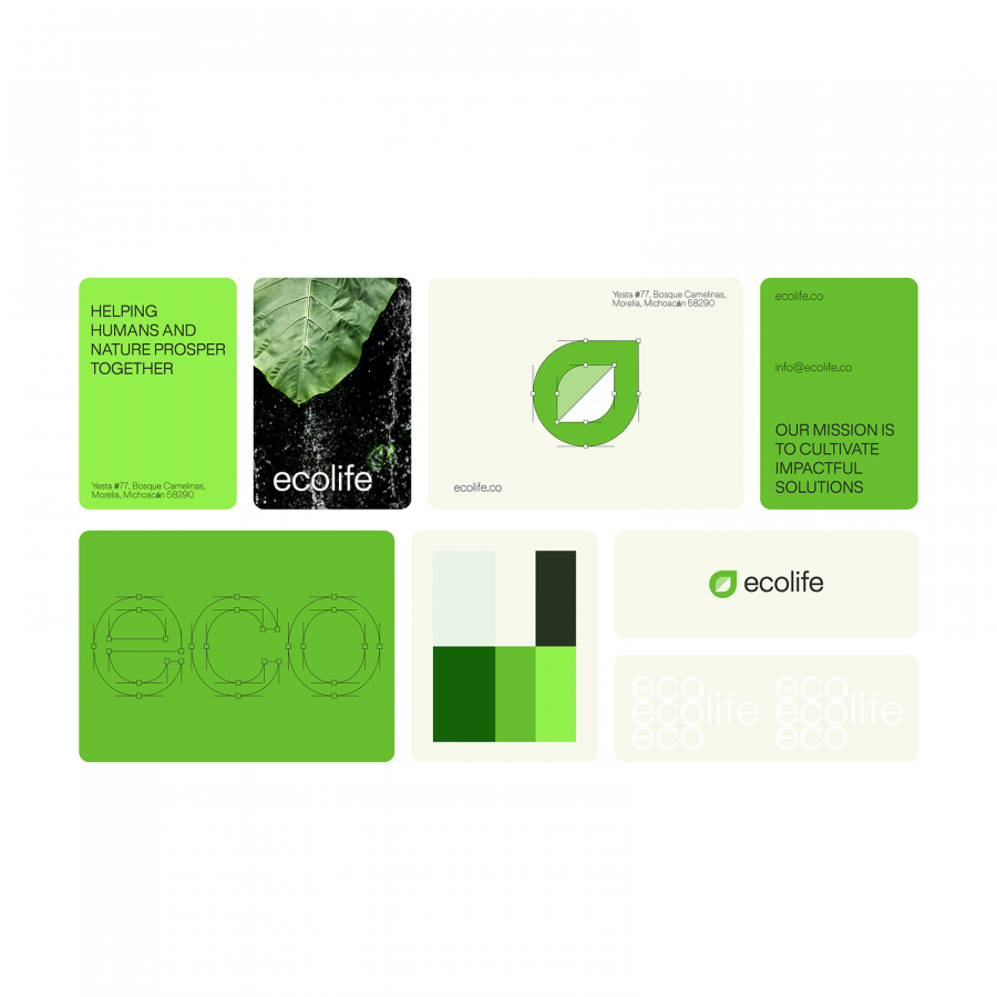 Branding & Visual Identity Insights: EcoLife by Pixtocraft