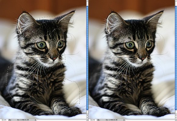Photoshop Quick Tips #3 - Enhancing Photos with High Pass Filter Photoshop Quick Tips #3 - Enhancing Photos with High Pass Filter