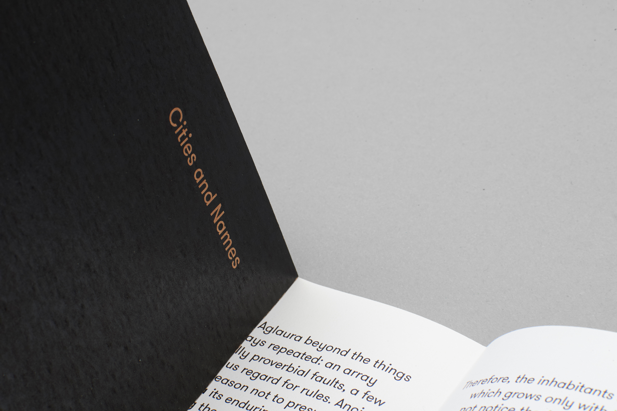 Elegant Editorial Design Project: Cities and Names