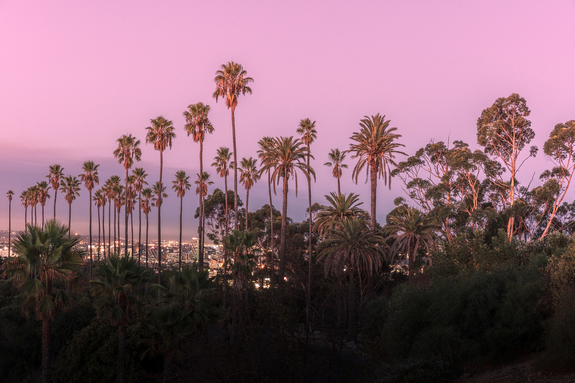 Digital Photography: Los Angeles, California with Ludwig Favre