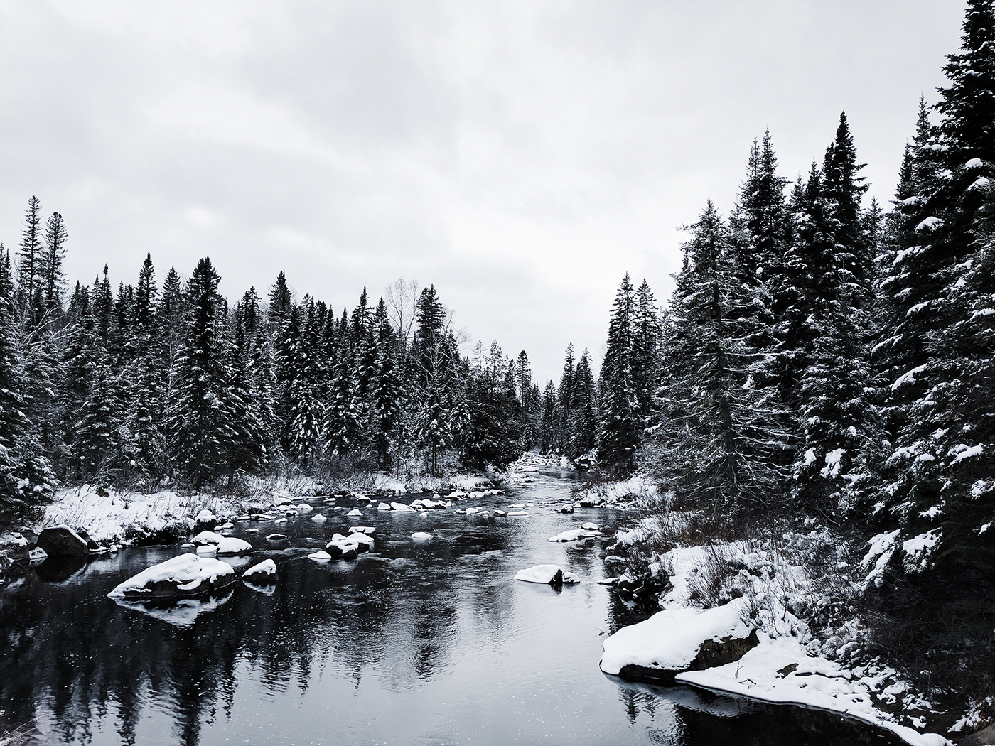 Wallpaper of the Week - Winter Frost