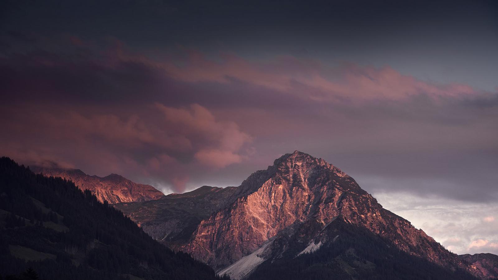 Daily Design Inspiration