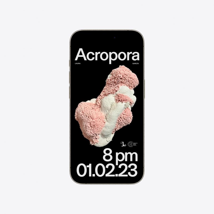Acropora: A Sensory Dive into Art and Exhibition Design