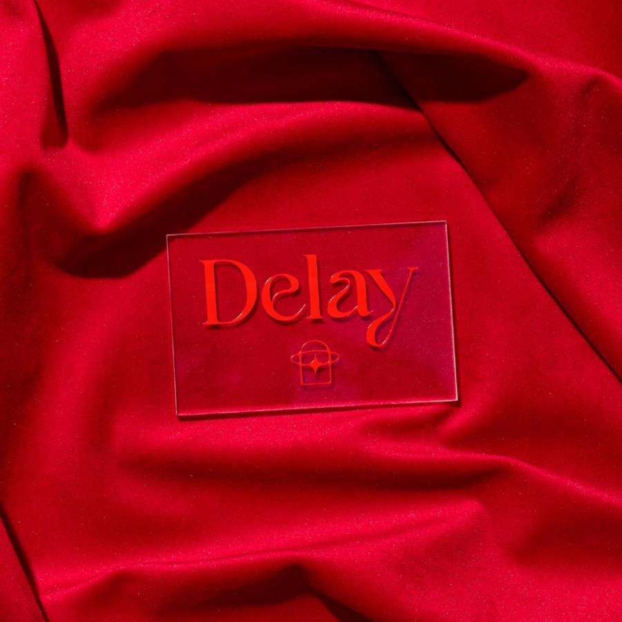 Captivating branding for Delay: embracing reflection and artistry