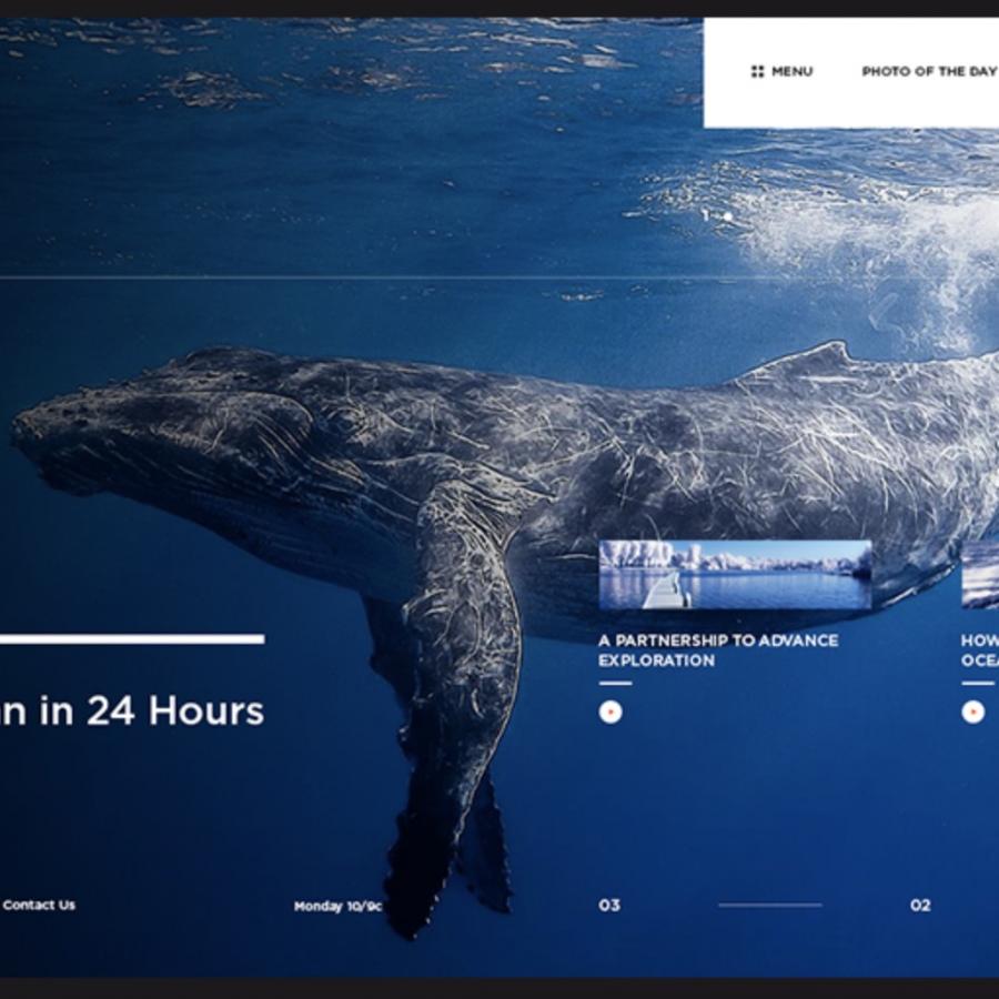 Web Design Concept for National Geographic