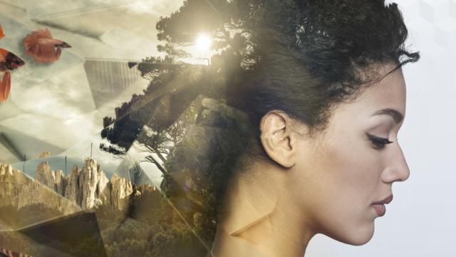 Take 10: Impulsive by Erik Johansson