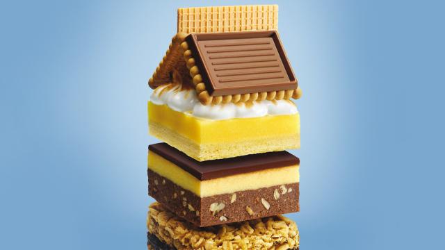 The Work of Mathieu Lévesque