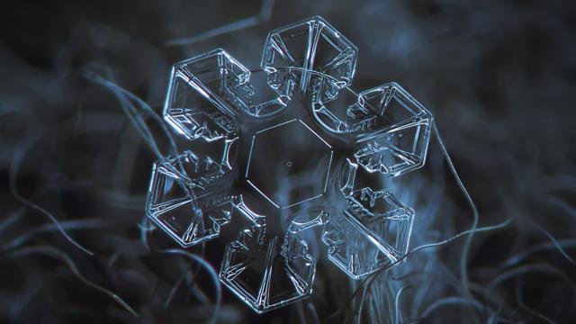 Case Study: Macro Snowflakes Photos