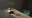 LYFE Zero-gravity LYFE Zero-gravity