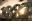 Royal Caribbean Productions: 1887 Project Royal Caribbean Productions: 1887 Project
