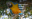 UI/UX Cheesemans' Ecology Safaris UI/UX Cheesemans' Ecology Safaris