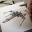 Best of the Week: Web Design, Photography, Tech News and more Best of the Week: Web Design, Photography, Tech News and more