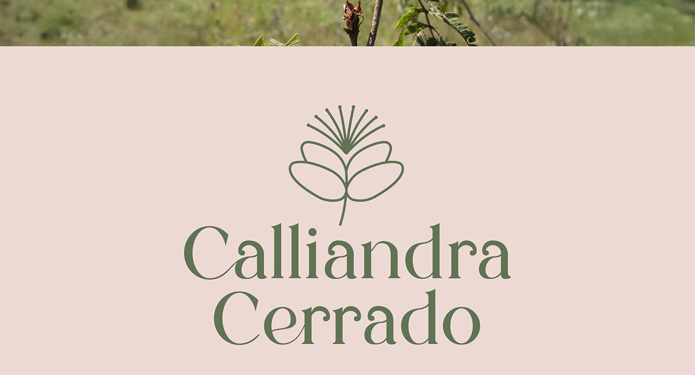 Usar una paleta de marca de verde salvia y terracota en el sistema de identidad