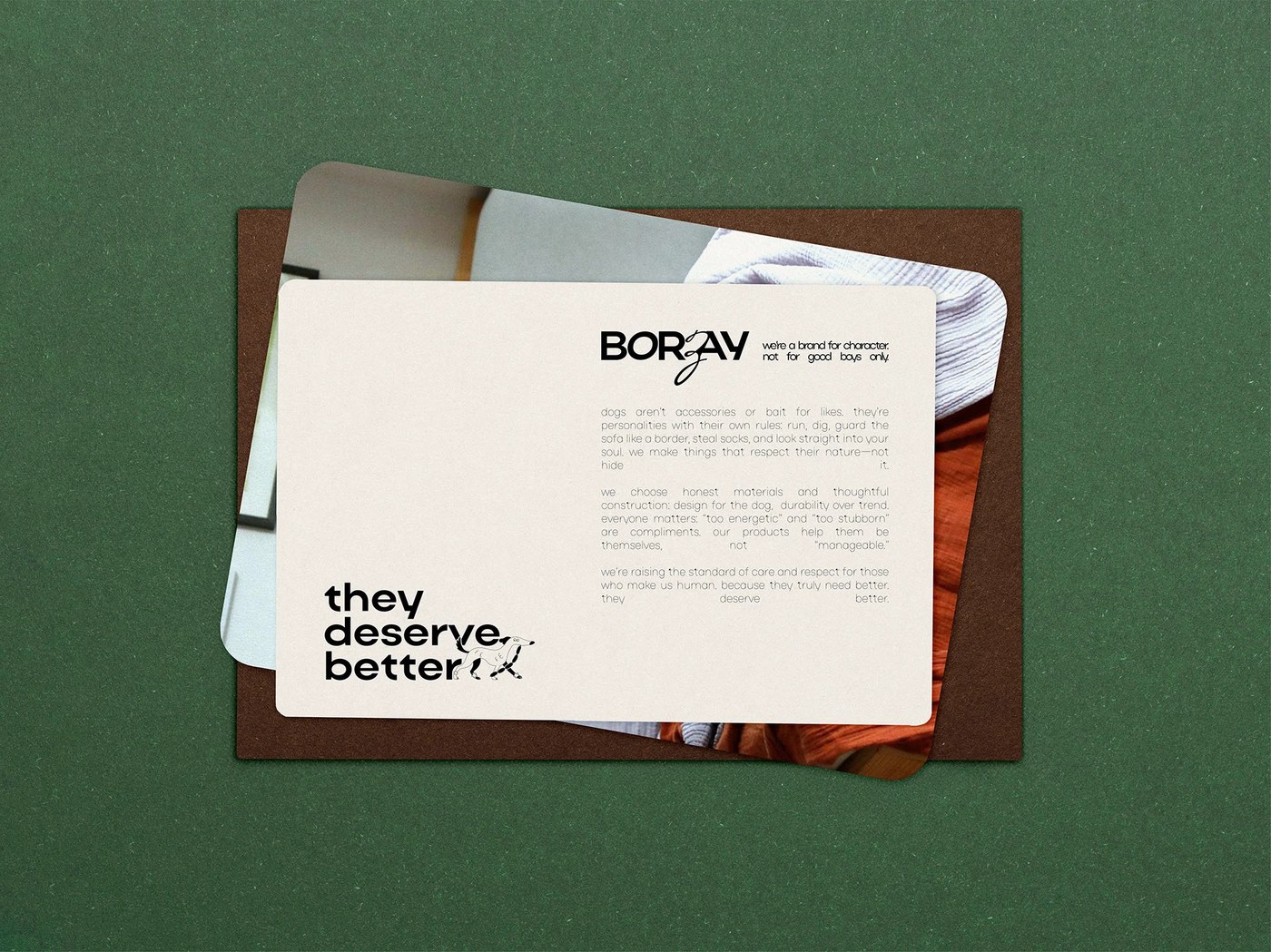 Borzay visual identity and packaging design by Yulia Noten