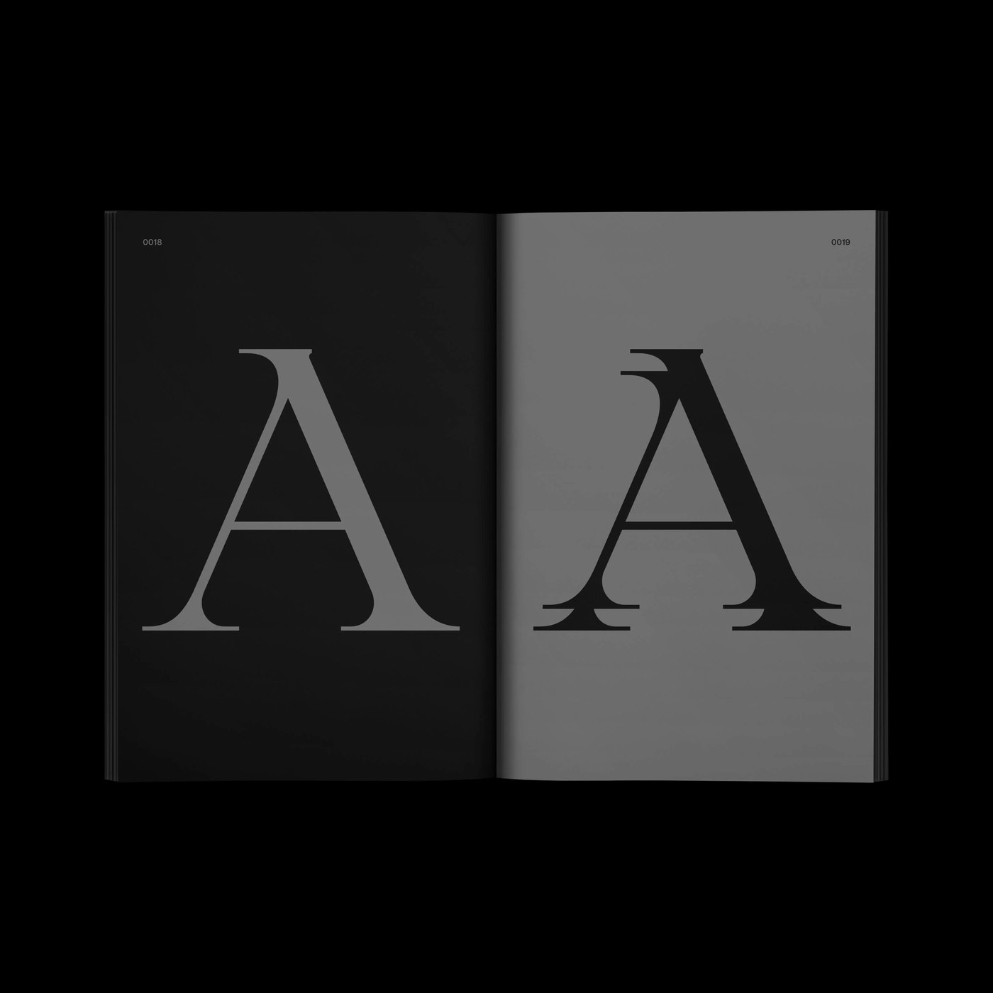 Mostrar diseño de fuente serif comparación de doble expansión Fuente A