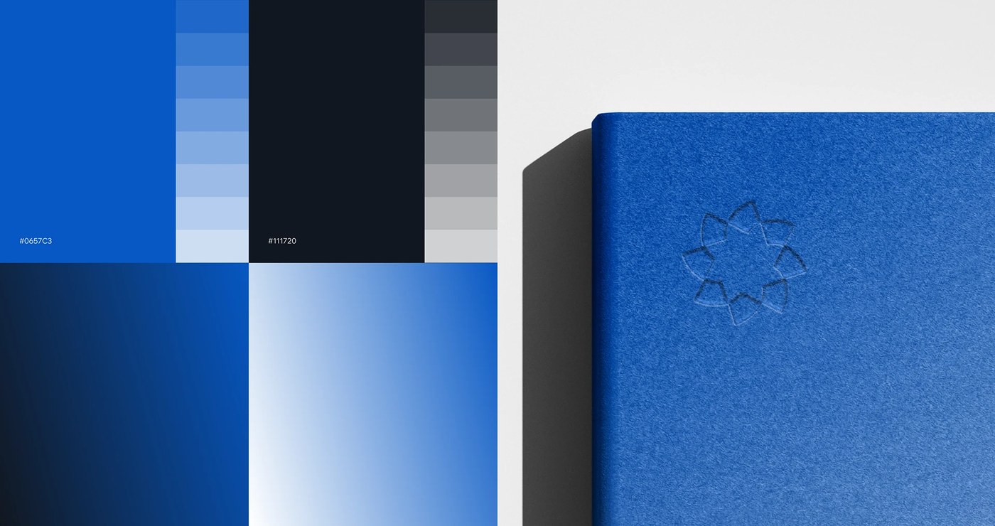 educational brand identity color system