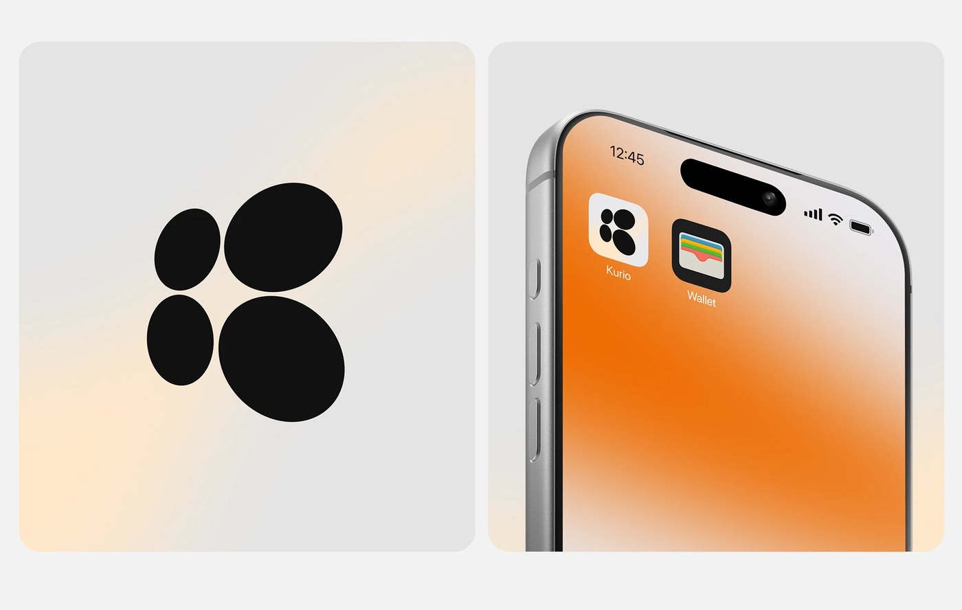 Kurio system overview — app interface design by Denis El