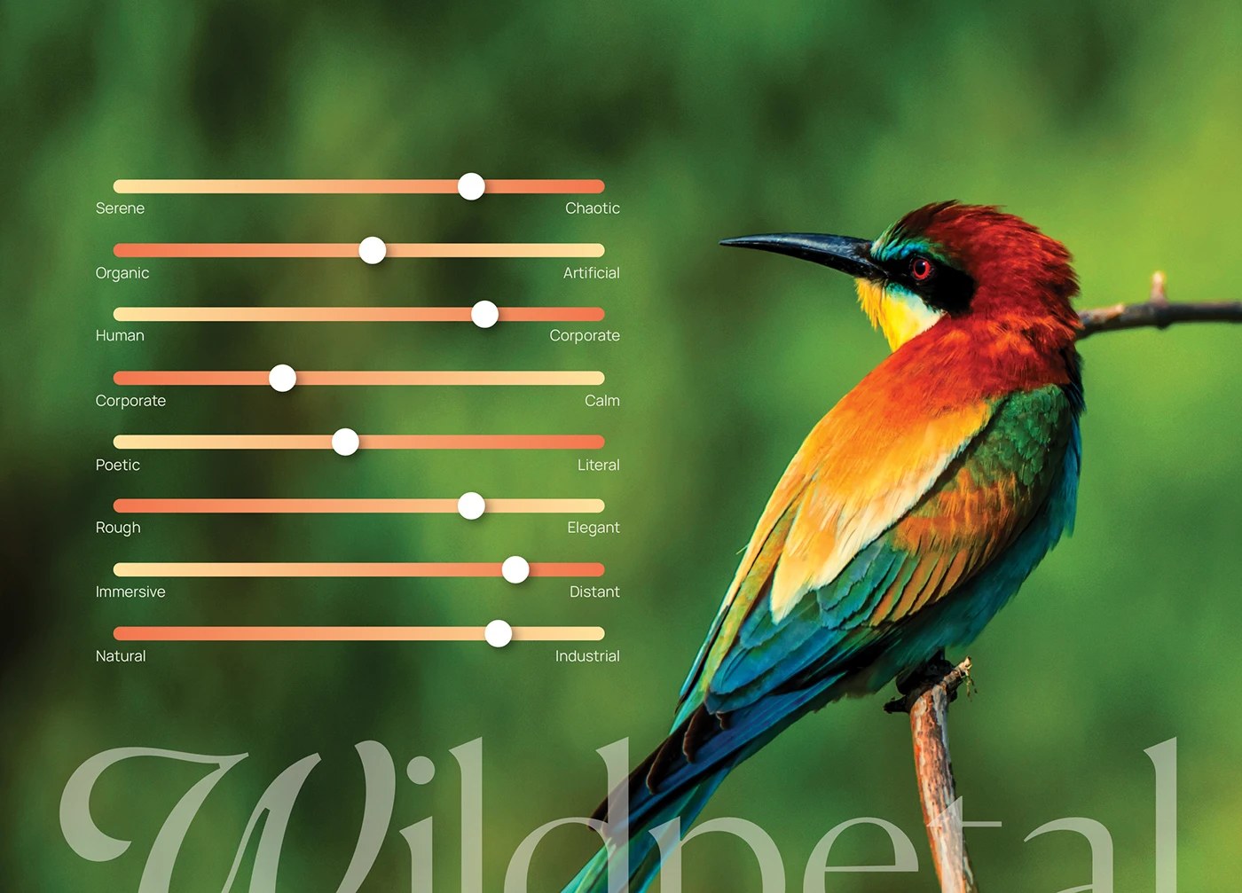 Wildpetals collectible bird cards design — brand identity design by Joshua Oladele
