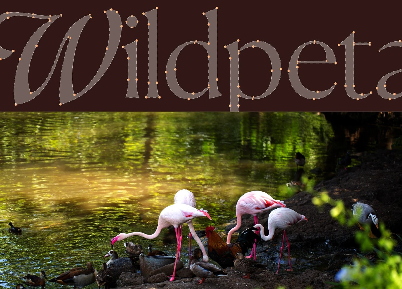 Wildpetals branded merchandise and environmental graphics — brand identity design by Joshua Oladele