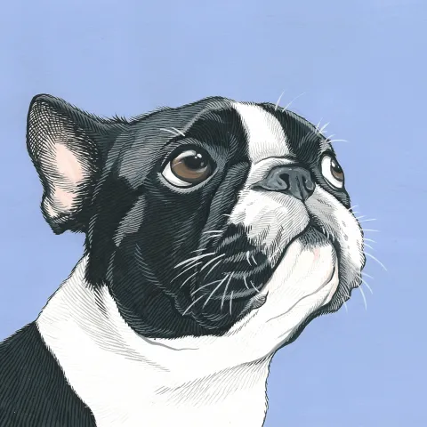 Gouache on Paper Illustrations by Manda Comisari