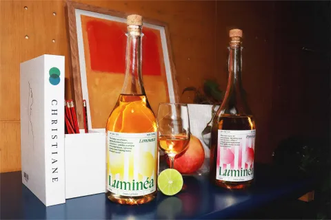 Luminéa by Anothern: Where French Tradition Meets Modern Branding
