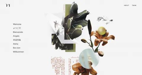 Monthly Portfolio Inspiration with Semplice - June 2020