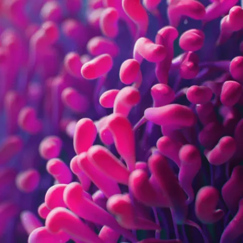 3D Houdini experimeantations for music video Mitosis