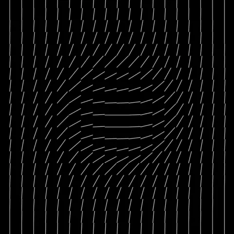 TILES Film — Tessellated patterns in kinetic behavior