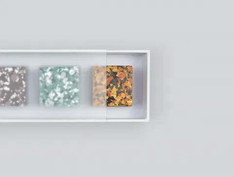 Draw from nature, with Unto's Color Gem