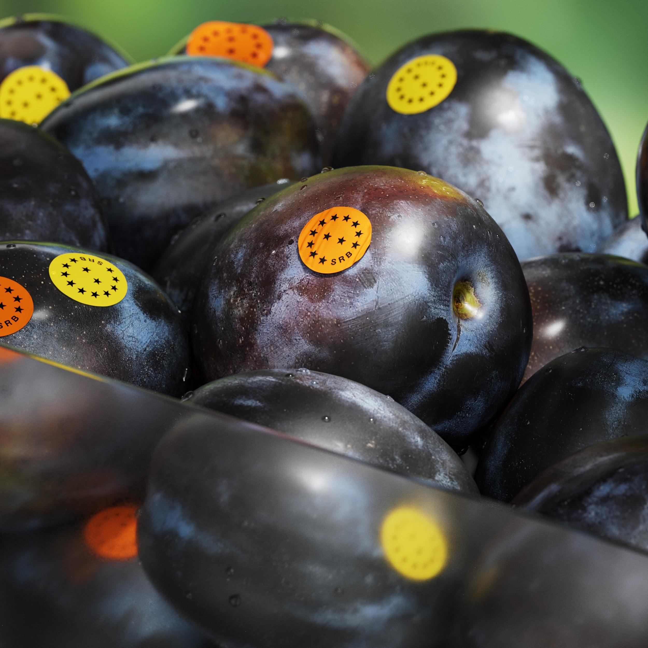 Made in Europe brand identity design Helvetica typography and blue palette