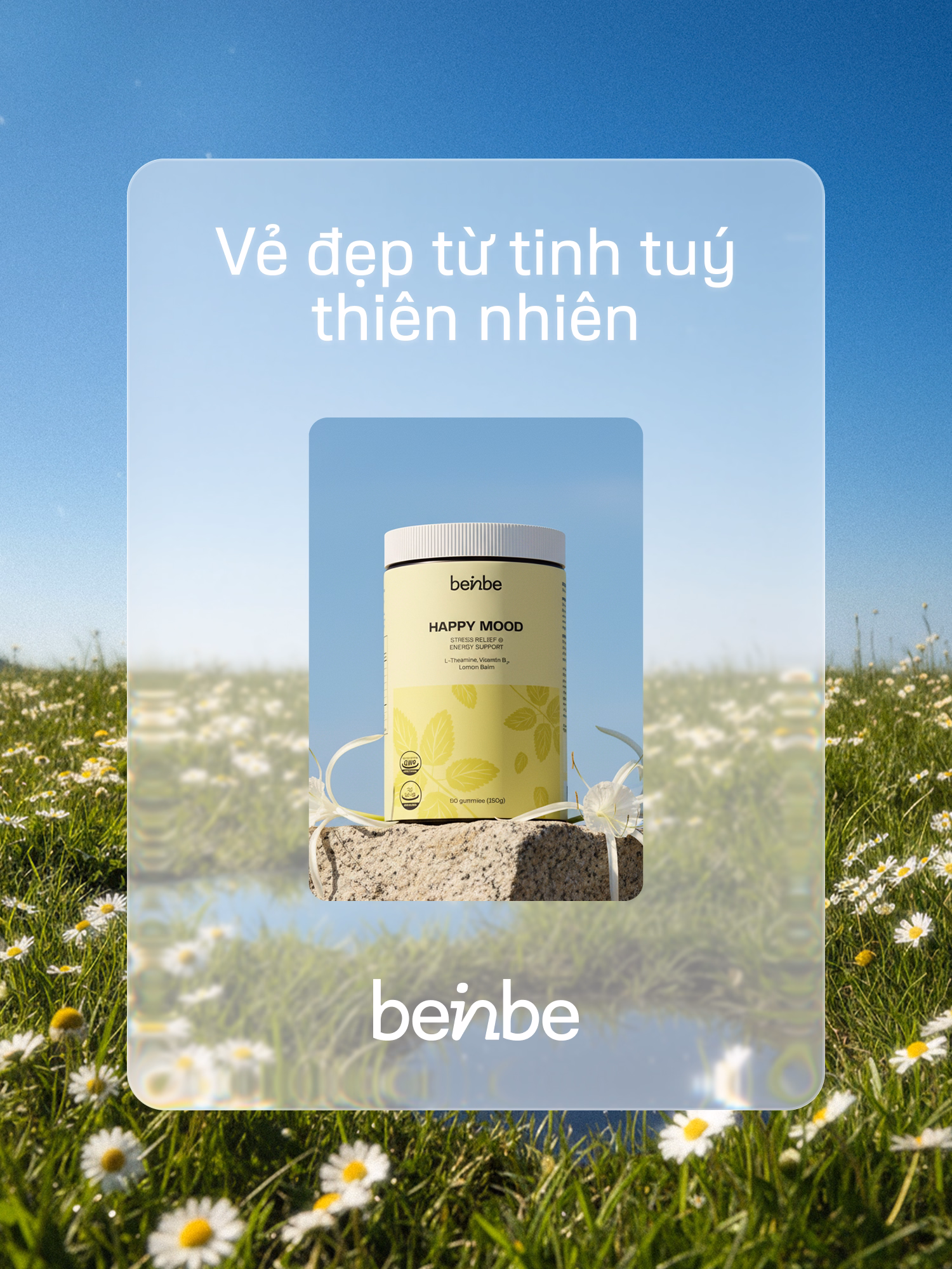 Beinbe branding packaging layout system design