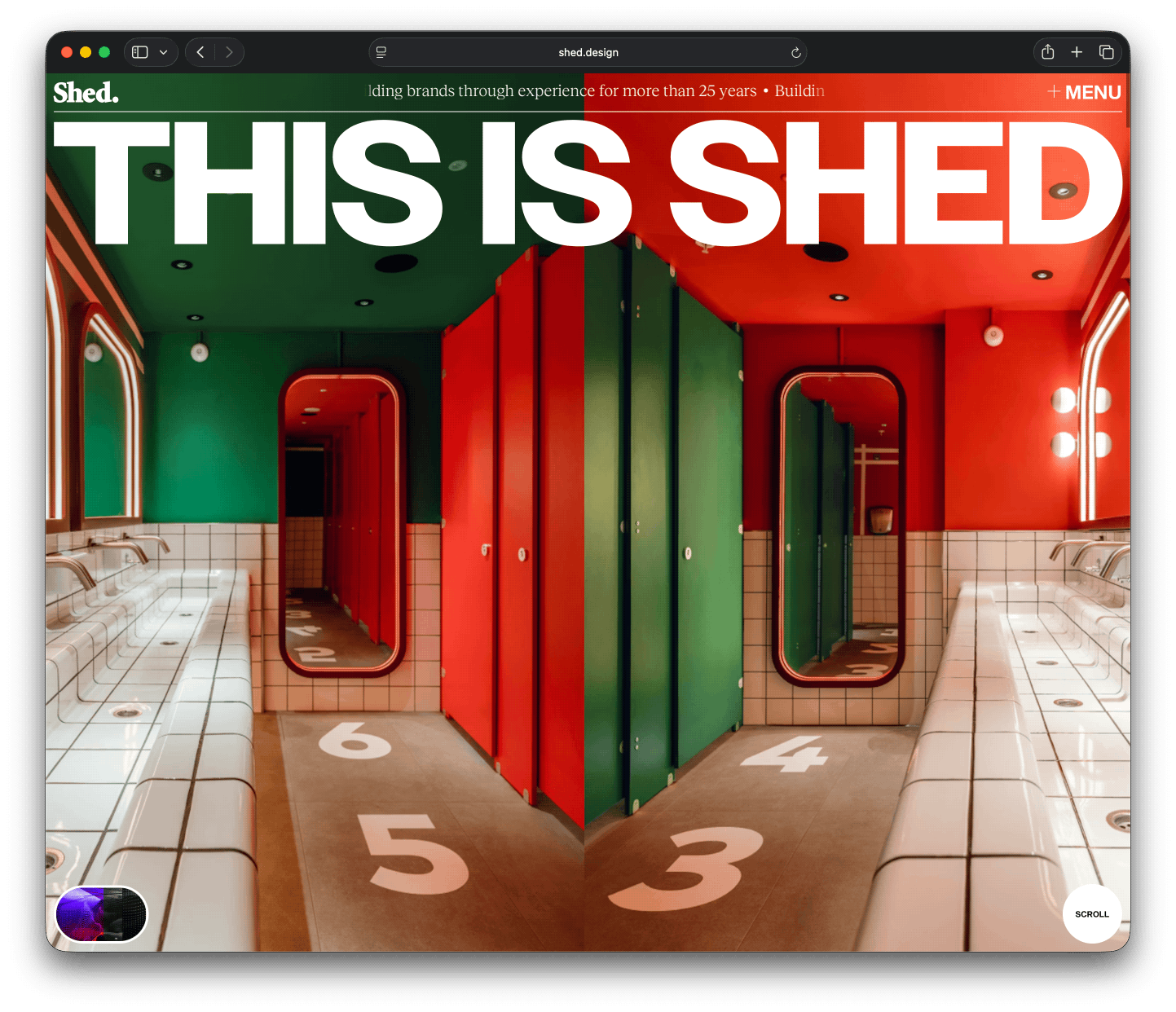 Award-Winning Web Design: How Shed.design Earned Awwwards SOTD