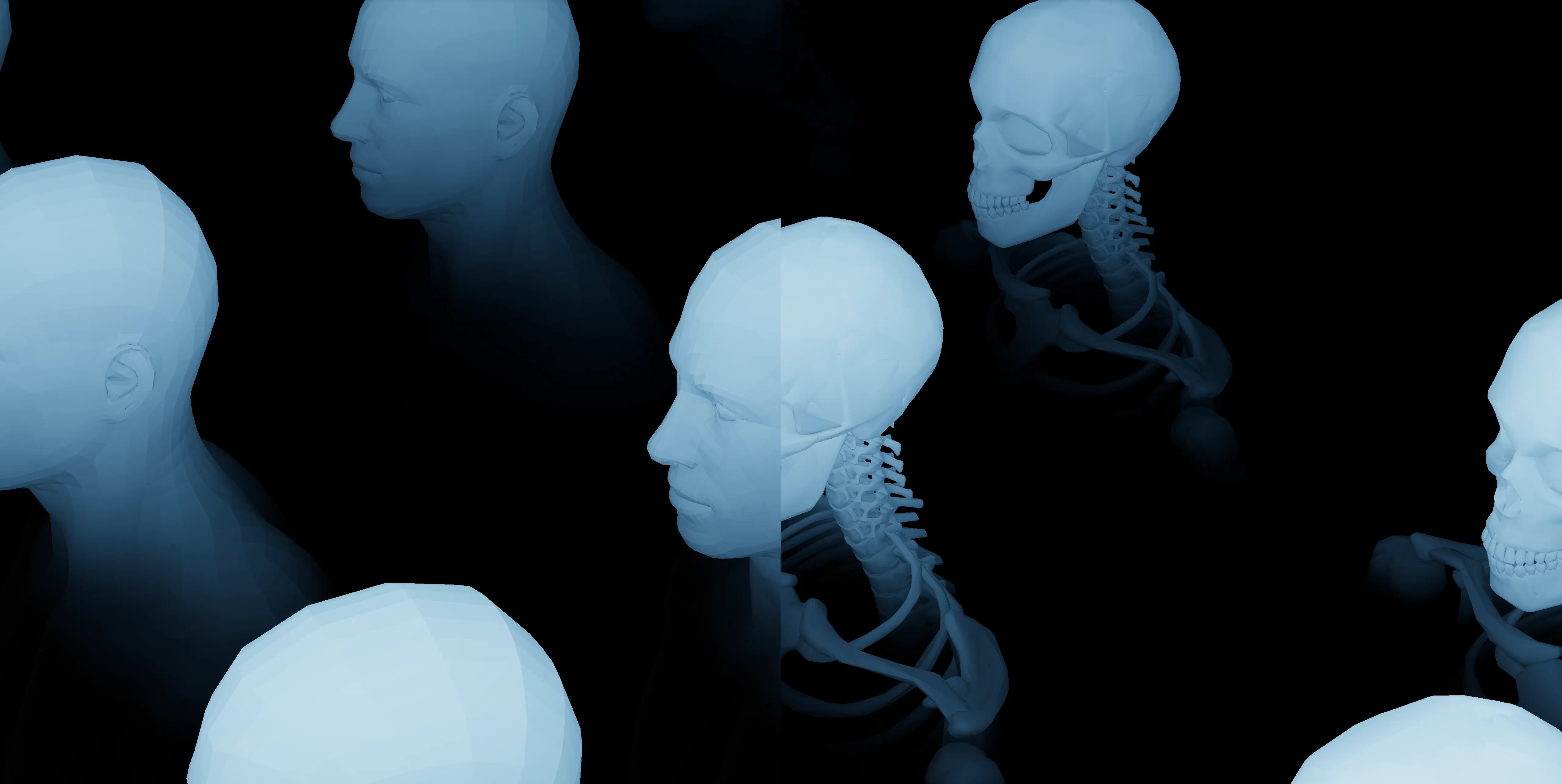 Three.js fluid reveal effect dual scene half skeleton half model