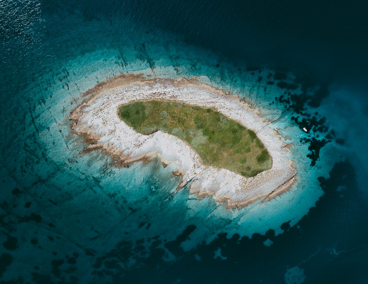 Daily Design Inspiration Daily Design Inspiration