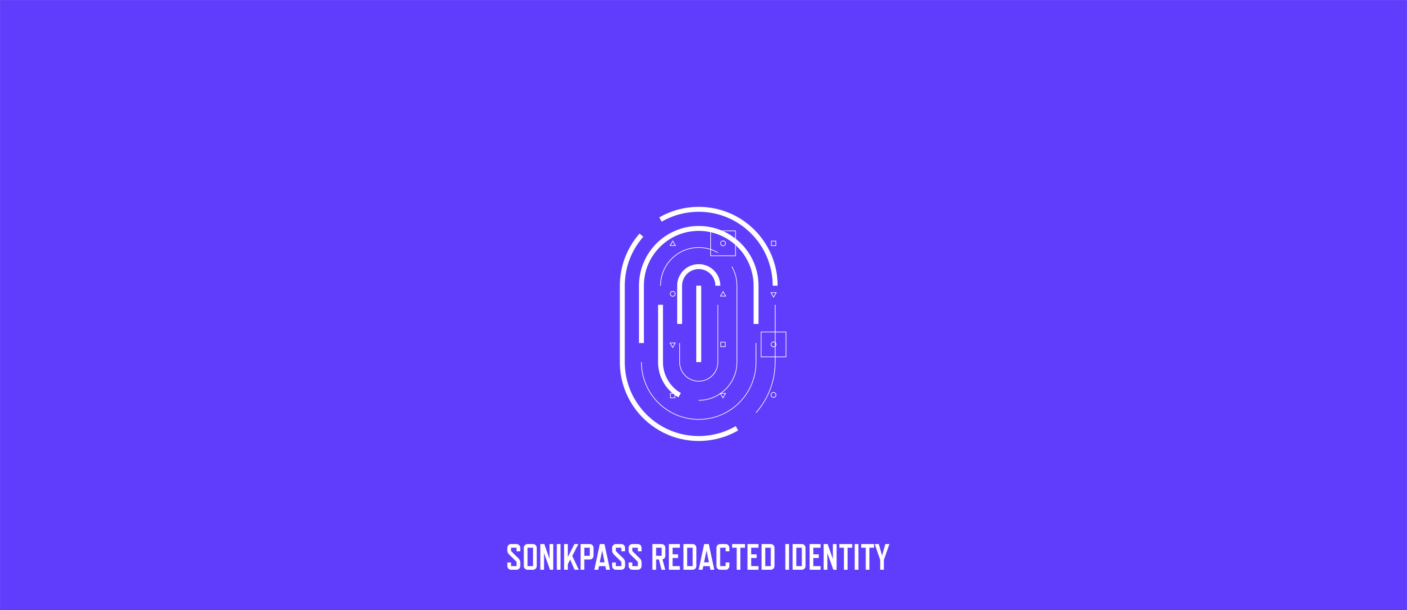 Sonikpass Awesome Brand Identity and Web Design