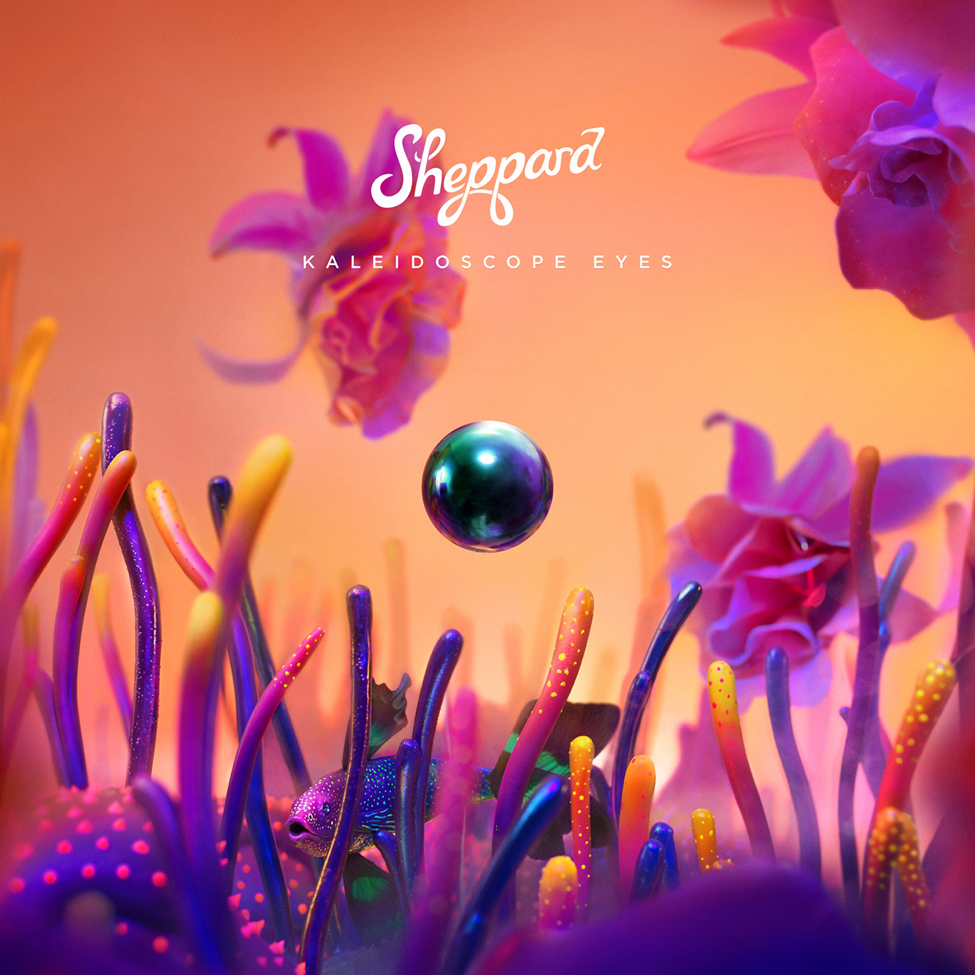 Sheppard's Kaleidoscope Eyes Album Design  Set Design