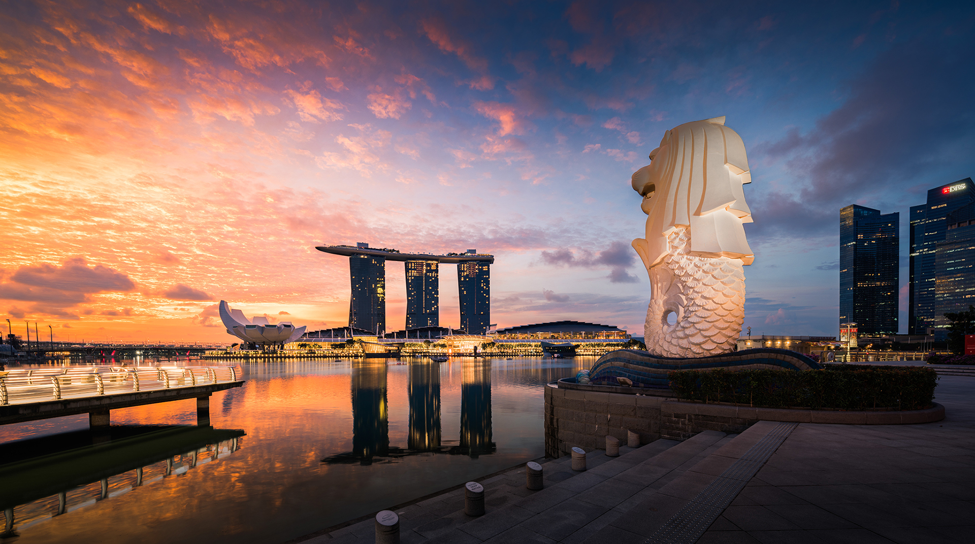 Image result for singapore photography