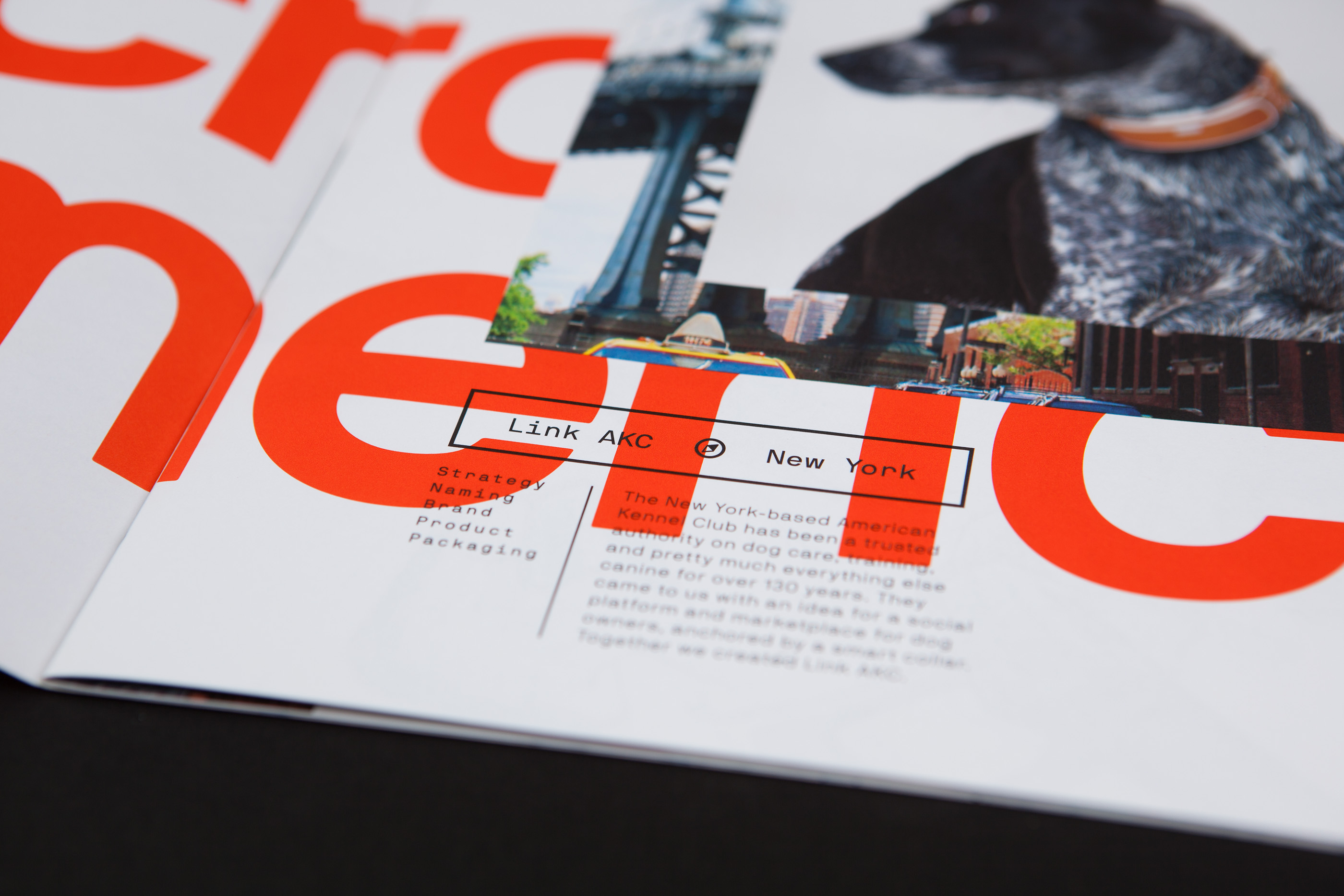 Brochure design idea #11: That 90s Look is Coming Back - Design Across America Brochure