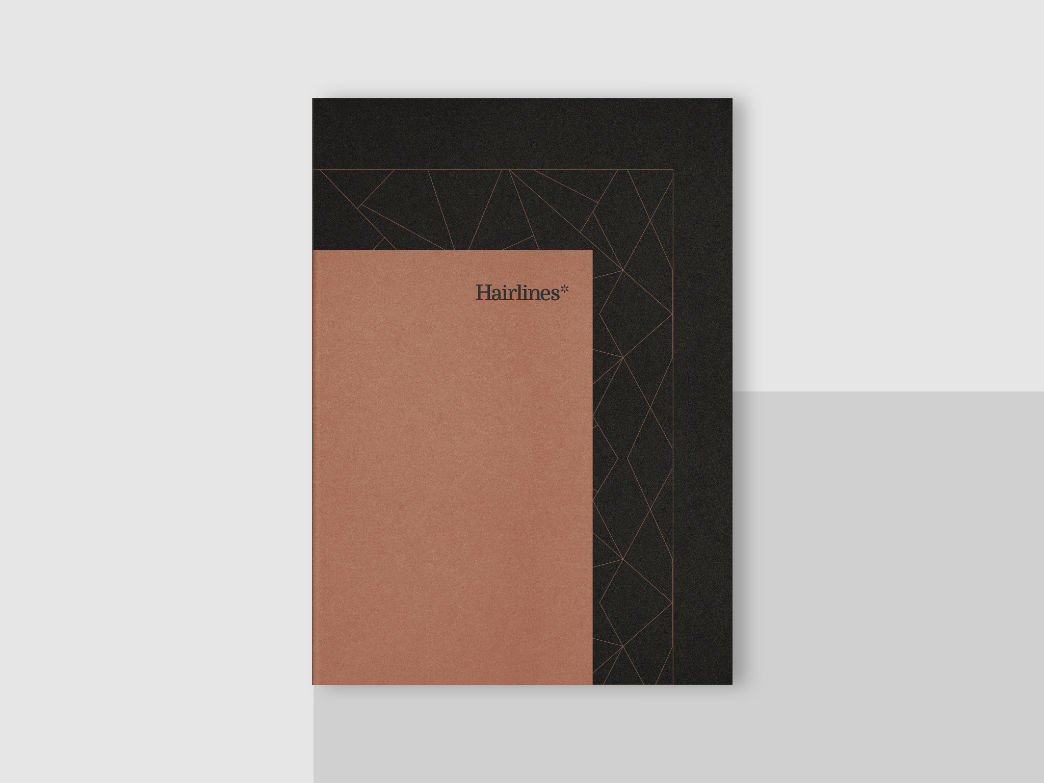 Elegant Brand Identity for Hairlines by BULLSEYE