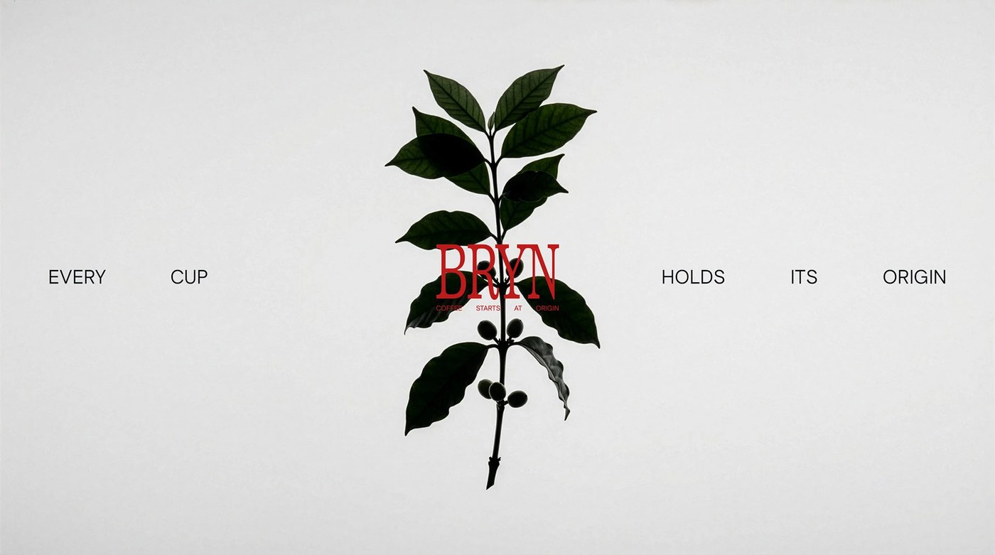 BRYN coffee house brand identity coffee plant silhouette with wordmark overlaid
