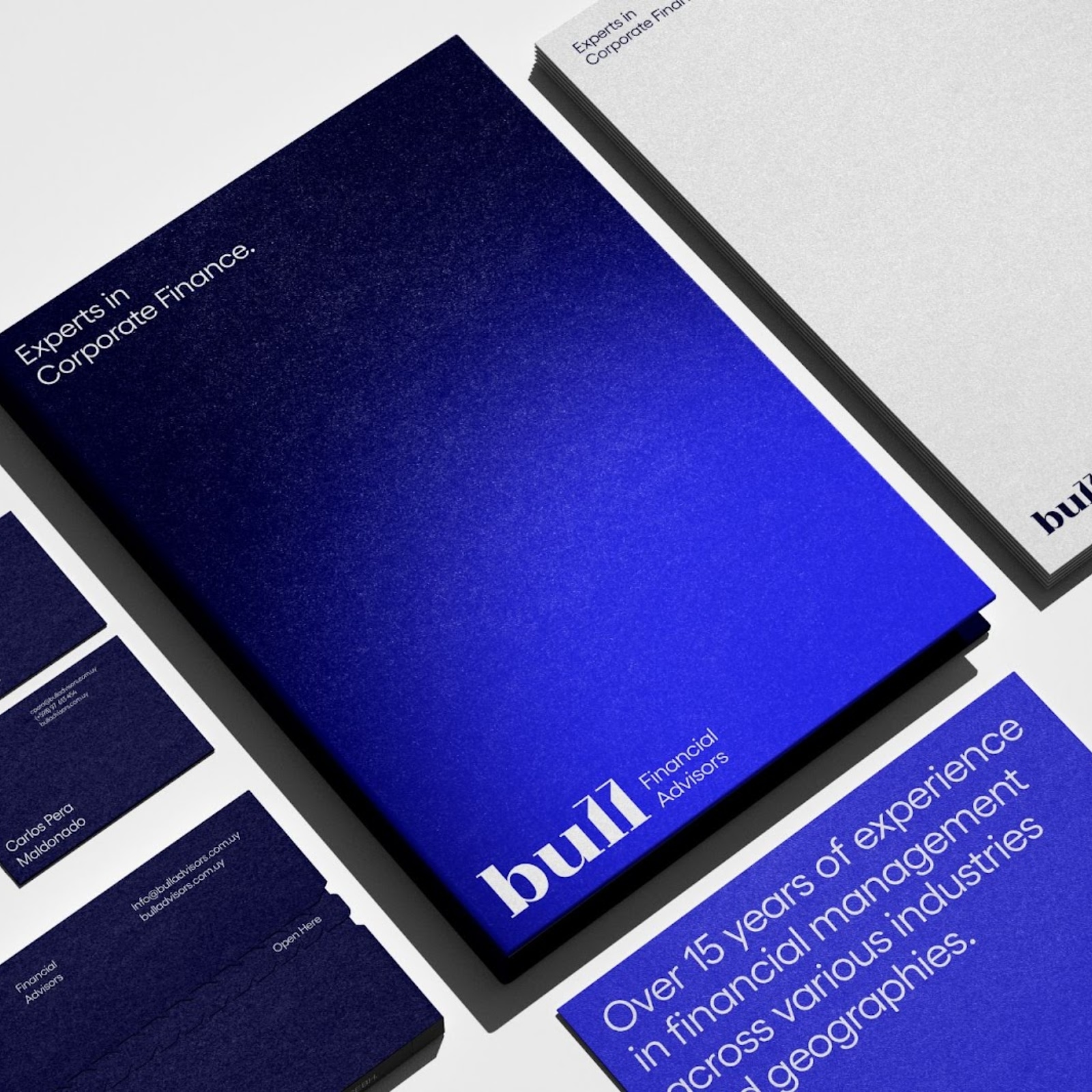 Bold Branding for Bull Advisors: A Vision of Sophistication