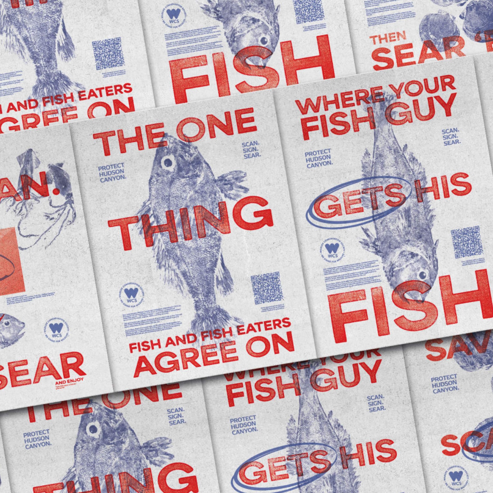 Ad Campaign for Hudson Canyon: Butcher Paper, But Make It Conservation