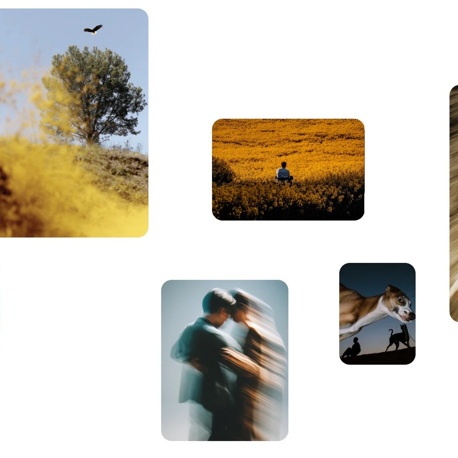 Think Agency: Digital Agency Branding Identity 2026