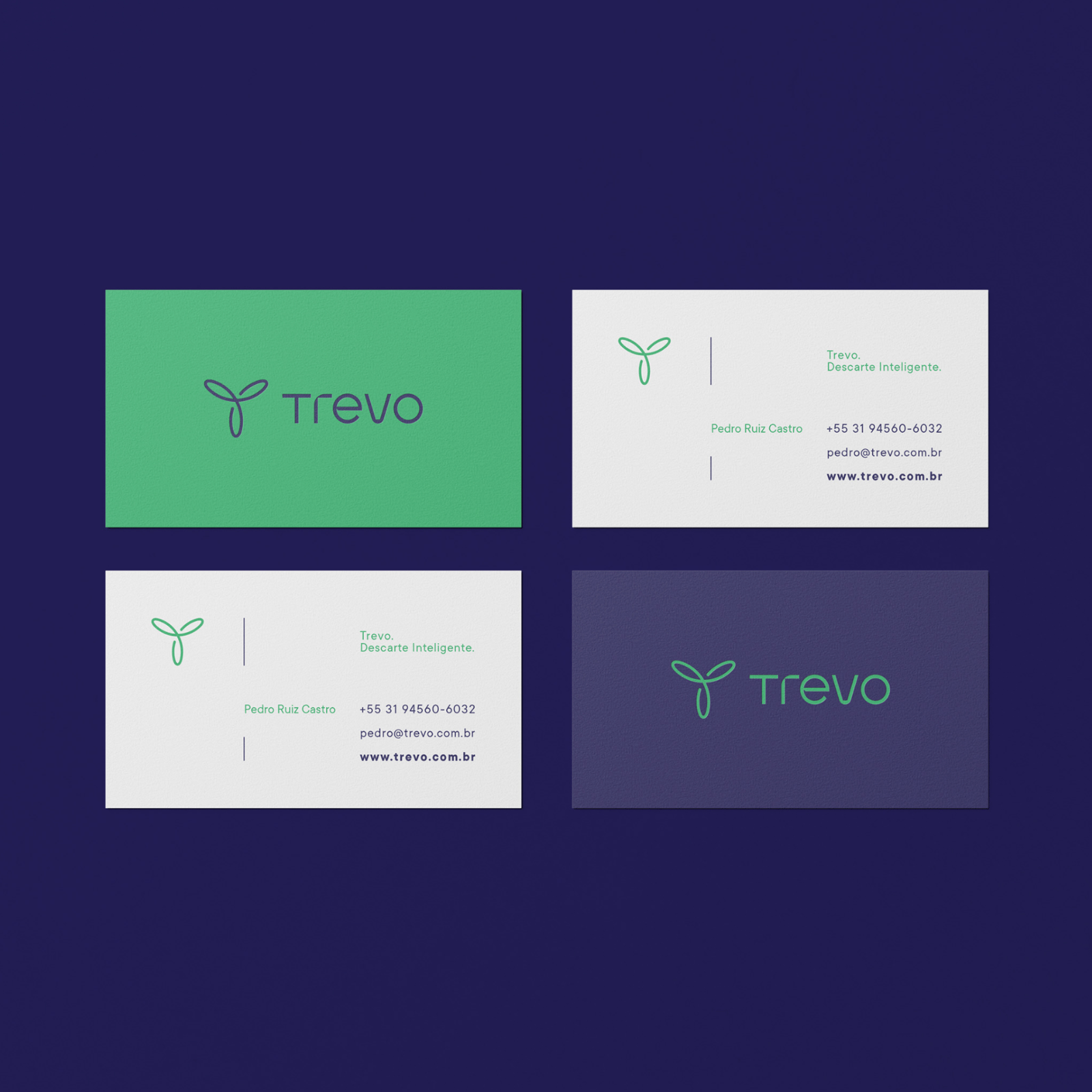 Branding and Visual Identity for Trevo Resduos