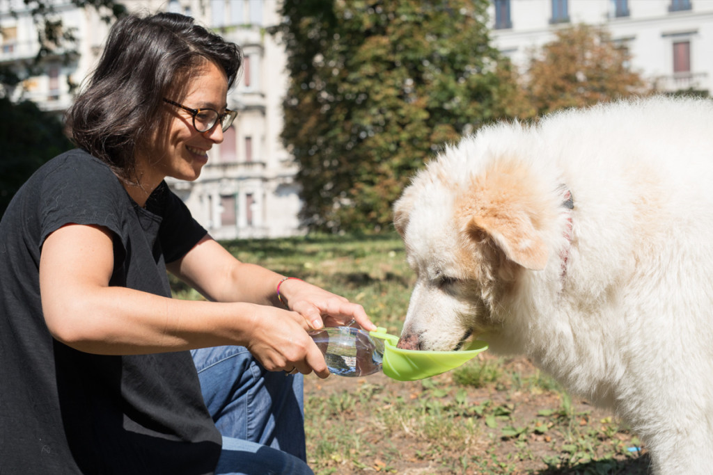 Industrial Design: Leaf, a Pet Water Dispenser