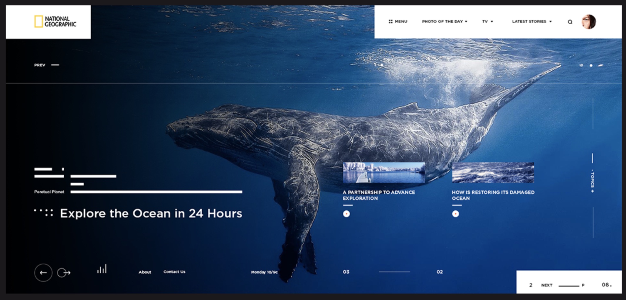 Web Design Concept for National Geographic | Website Design in Oakville ...