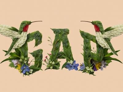 Unveiling the collaboration between Raku Inoue x  Gap: celebrating the wonders of the Natural World