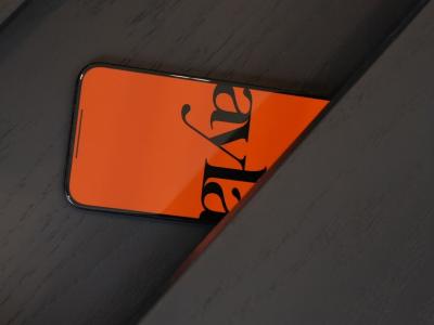 Ayla's Striking Branding and Visual Identity Design