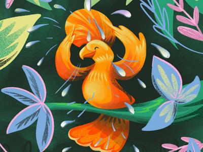 Gabi Emmerich’s Illustrations: Brazilian Birds Light Up Kids’ Bath Products