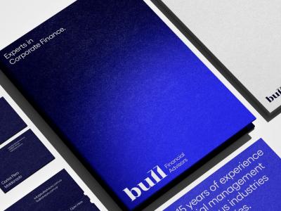 Bold Branding for Bull Advisors: A Vision of Sophistication